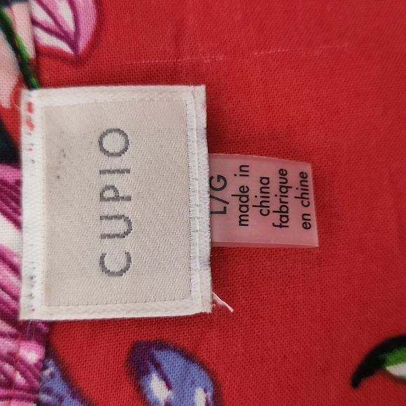 Cupio Floral Print Sleeveless  Hi Lo Dress  Size Large - Picture 5 of 6